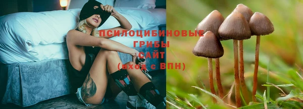 стаф Волоколамск