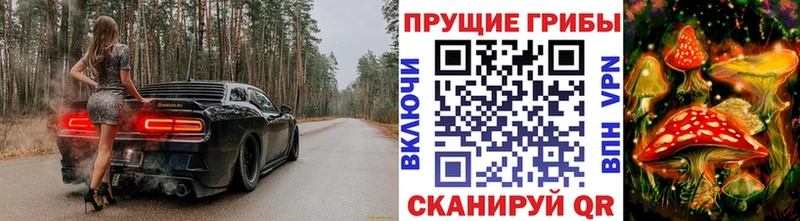 Купить  Бобров  Псилоцибиновые грибы прущие грибы 